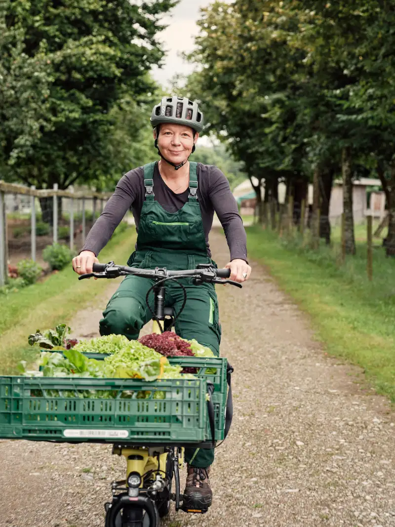 Gärtnerin mit Salat auf dem Frontloader fährt durch Allee auf Kamera zu